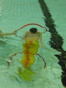 Meerjungfrauenschwimmen-188.jpg